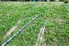 20120607_ (45)